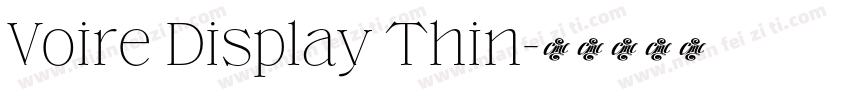 Voire Display Thin字体转换